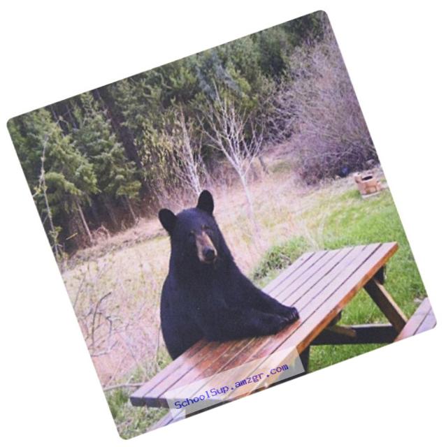 3dRose LLC 8 x 8 x 0.25 Inches Mouse Pad, Black Bear Ready for Lunch (mp_100971_1)